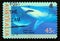Postage stamp Australia, 1995. Shortfin Mako Isurus oxyrhynchus, Tiger Shark Galeocerdo cuvier fish