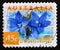 Postage stamp Australia, 1999. Australian Bluebells Wahlenbergia stricta flower