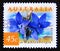 Postage stamp Australia, 1999. Australian Bluebells Wahlenbergia stricta flower