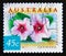 Postage stamp Australia, 1999. Beach Morning Glory Ipomoea pes-caprae flower