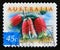 Postage stamp Australia, 1999. Native Fuschia Correa reflexa flower