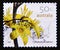 Postage stamp Australia, 2007. Granite Belt Phebalium Phebalium whitei flower