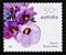 Postage stamp Australia, 2007. Sturt`s Desert Rose Gossypium sturtianum flower