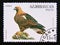Postage stamp Azerbaijan, 1994. Imperial Eagle Aquila heliaca bird of prey