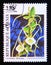 Postage stamp Benin, 1995. Angraecum eichlerianum orchid Flower