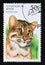 Postage stamp Benin, 1996. Asiatic Golden Cat Pardofelis temminckii