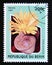 Postage stamp Benin, 1997. Lithops aucampiae cactus plant flower