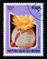 Postage stamp Benin, 1997. Lithops fulviceps cactus plant flower