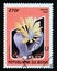 Postage stamp Benin, 1997. Lithops helmutti cactus plant flower