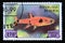 Postage stamp Benin 1999. Dwarf Rasbora Rasbora maculata fish