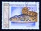 Postage stamp Benin, 1999, Jamaican Boa, epicrates subflavus