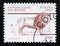 Postage stamp Benin, 1999. Lion Panthera leo