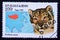 Postage stamp Benin, 1999, Snow Leopard, Panthera uncia