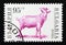 Postage stamp Bulgaria 1992. Billy Goat Capra hircus