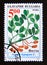 Postage stamp Bulgaria, 1995. Spinach plant Spinacia oleracea