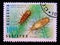 Postage stamp Bulgaria, 1996. Waterlouse Asellus aquaticus