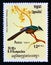 Postage stamp Cambodia 1984. Chestnut winged Cuckoo Clamator coromandus bird