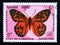 Postage stamp Cambodia, 1990. Common Brown Heteronympha merope butterfly