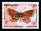 Postage stamp Cambodia, 1990. Lesser Grass Blue Zizina oxleyi butterfly