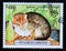 Postage stamp Cambodia, 1996, Flat headed Cat, Prionailurus planiceps