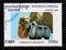 Postage stamp Cambodia, 1996. Wild Bactrian Camel camelus bactrianus ferus