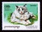 Postage stamp Cambodia 1998. Ragdoll Cat Felis silvestris catus pet