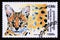 Postage stamp Cambodia, 1998. Serval Leptailurus serval animal