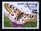 Postage stamp Cambodia, 1999. Apollo Parnassius apollo butterfly