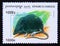 Postage stamp Cambodia 1999. Eurasian Water Shrew Neomys fodiens