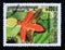 Postage stamp Cambodia, 2000. East African Cardinal Beetle Cissistes cephalotes insect