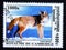 Postage stamp Cambodia, 2001, Coyote, Canis latrans