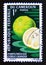 Postage stamp Cameroon, 1967. Grapefruit Pomelo Citrus grandis