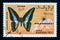 Postage stamp Cinderella, 1991. Common bluebottle Graphium sarpedon butterfly