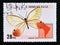 Postage stamp Cinderella, 1994. Blushing Phantom Cithaerias pireta aurora butterfly