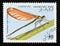 Postage stamp Cinderella, 1995. Beautiful demoiselle Calopteryx virgo dragonfly