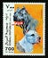 Postage stamp Cinderella 1999. Pit Bull Terrier dog breed