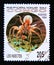 Postage stamp Congo Republic Brazzaville, 1994. Tarantula spider Family: Theraphosidae insect