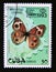 Postage stamp Cuba, 1993. Mangrove Buckeye Junonia evarete coenia butterfly