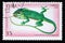 Postage stamp Cuba, 1994. Baracoa Anole Anolis baracoae lizard