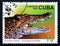 Postage stamp Cuba 2003, Cuban Crocodile, Crocodylus rhombifer