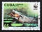 Postage stamp Cuba, 2003. Cuban Crocodile Crocodylus rhombifer