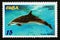 Postage stamp Cuba, 2004. Pantropical Spotted Dolphin Stenella attenuata