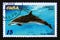 Postage stamp Cuba, 2004. Pantropical Spotted Dolphin Stenella attenuata fish