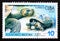 Postage stamp Cuba 2007, Galapagos Giant Tortoise, Testudo elephantopus