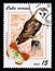 Postage stamp Cuba 2008. Western Barn Owl Tyto alba, Great Copper Lycaena dispar