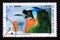 Postage stamp Cuba, 2011. Amazonian Motmot Momotus momota bird