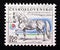 Postage stamp Czechoslovakia 1976. Kladruby Stallion horse Equus ferus caballus Generalissimus XXV