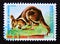 Postage stamp Equatorial Guinea, 1974. Brush tailed Rock wallaby Petrogale penicillata