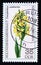 Postage stamp Germany Democratic Republic DDR, 1976. Elder flowered Orchid Dactylorhiza sambucina flower