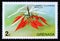 Postage stamp Grenada, 1975. Poinsettia Euphobia pulcherrima flower